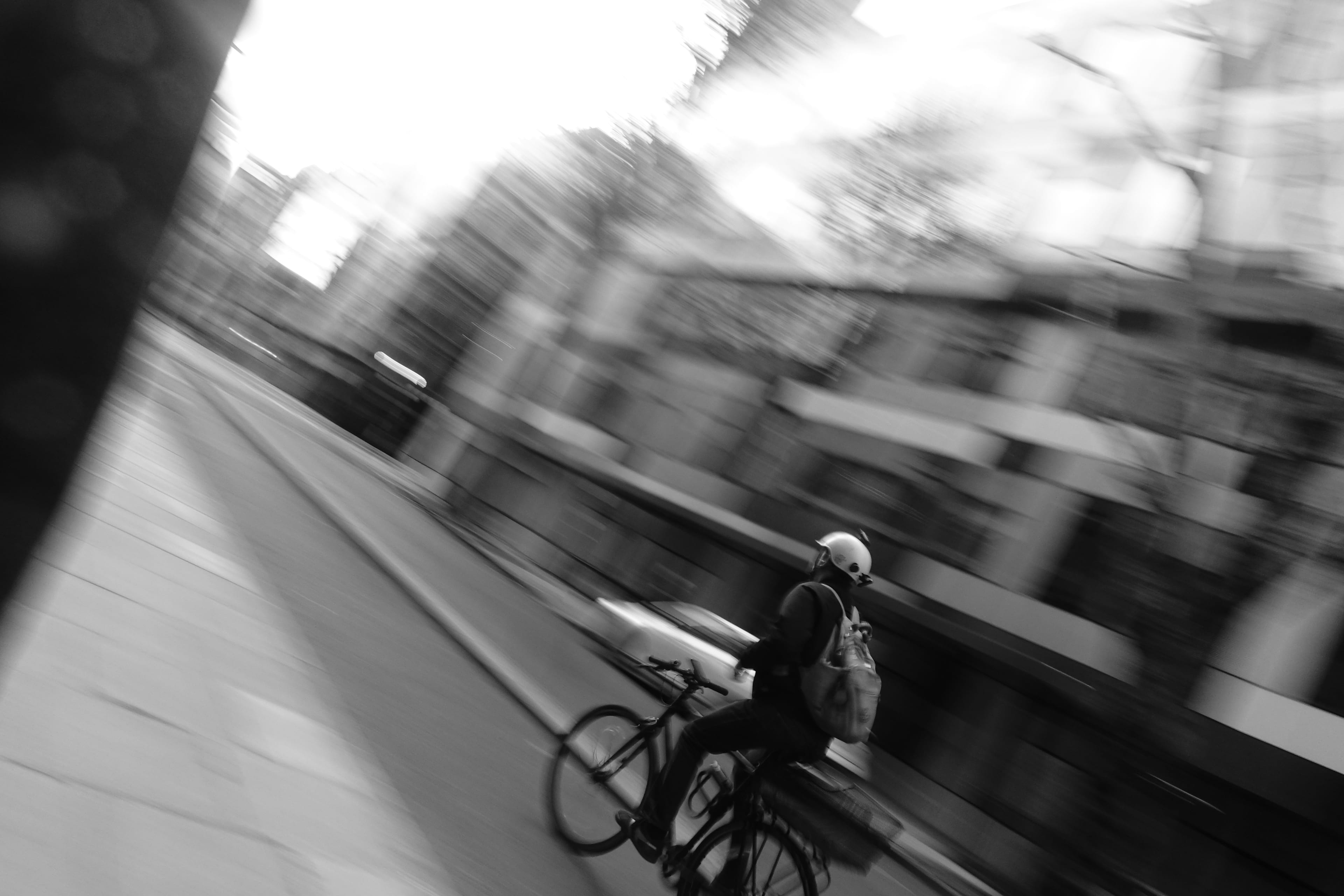Untitled photograph.